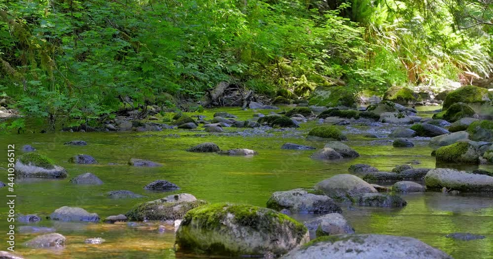 Establishing shot of Majestic mountain creek with rocky background in Vancouver, Canada, North America. Day time on June 2021. Still camera view. ProRes 422 HQ. Establishing shot of Majestic mountain creek with rocky background in Vancouver, Canada, North America. Day time on June 2021. Still camera view. ProRes 422 HQ.