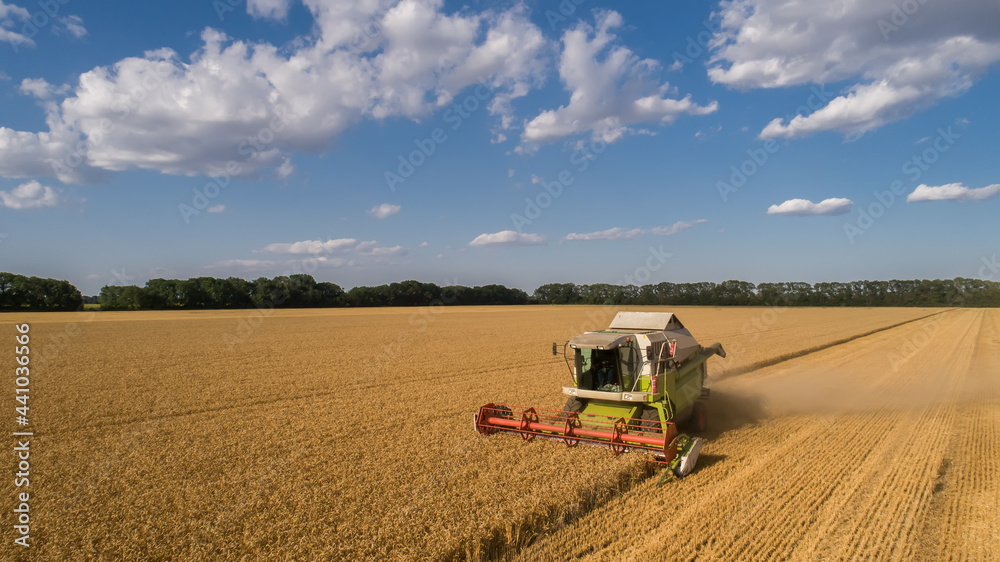 Obraz premium Aerial view combine, harvester, harvesting on wheat field, cloudy sky