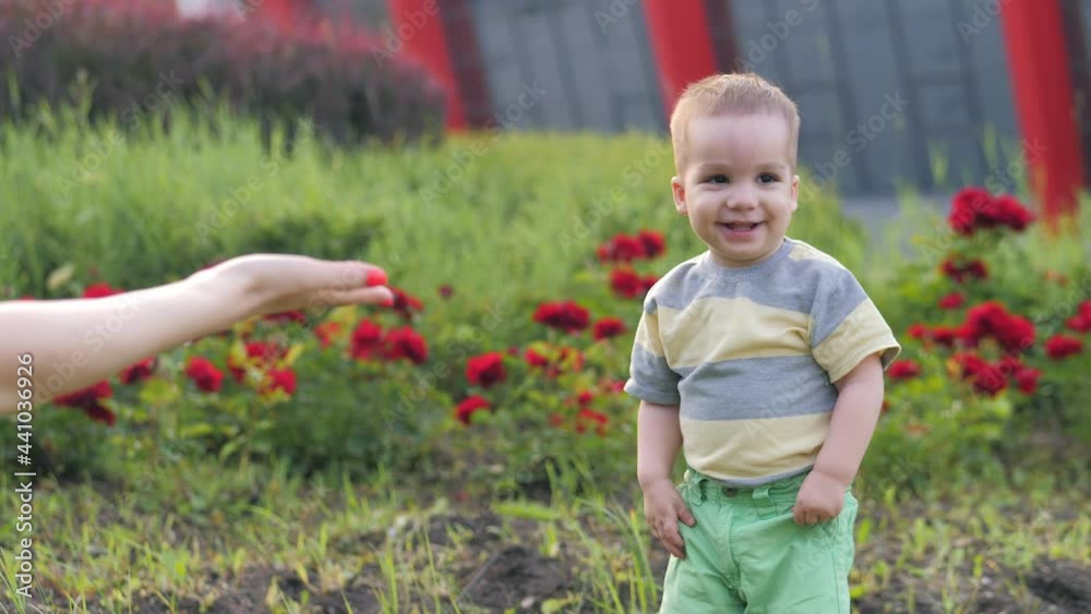 A Mother Holds Out Her Hands To Her Little Blond Boy Son, Who Is Trying To Take His First Steps In The Fresh Air, At Sunset In The Park. The child smiles and walks on the grass. Happy family A Mother Holds Out Her Hands To Her Little Blond Boy Son, Who Is Trying To Take His First Steps In The Fresh Air, At Sunset In The Park. The child smiles and walks on the grass. Happy family