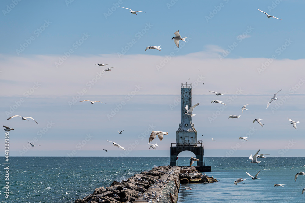 Lighthouse with flying seagulls Lighthouse with flying seagulls