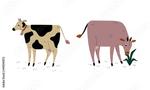Milk Cow with Udder Grazing on Pasture as Dairy Cattle Breeding and Farming Vector Set