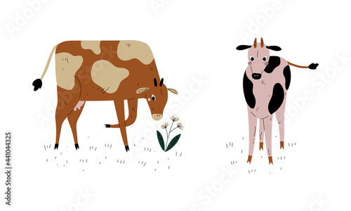 Milk Cow with Udder Grazing on Pasture as Dairy Cattle Breeding and Farming Vector Set