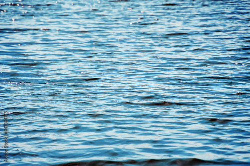 rippling water surface with small waves and sun glare on a windy summer day