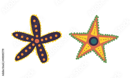 Starfish or Sea Star as Asteroidea Marine Specie from Ocean Bottom Vector Set