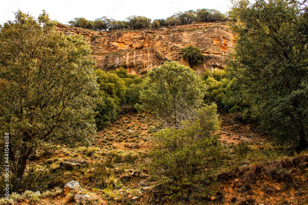 Mountain landscape with green vegetation in spring