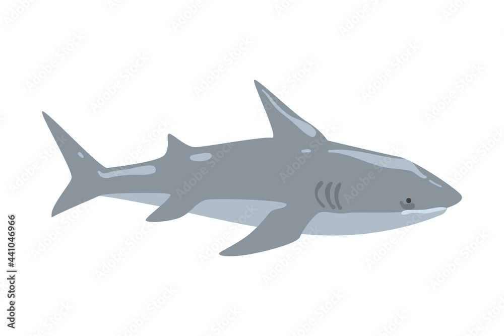 Fototapeta premium Shark Marine Predator Fish Animal Cartoon Vector Illustration
