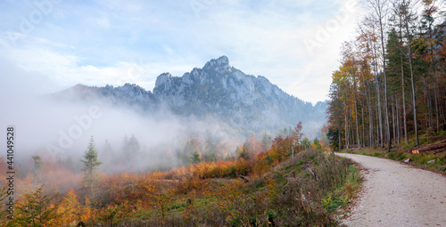 hiking route from Grunberg to lake Laudachsee, Salzkammergut in autumn