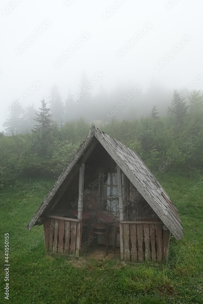 Abandoned wooden cabin in a misty forest. Summer foggy mysterious landscape            
