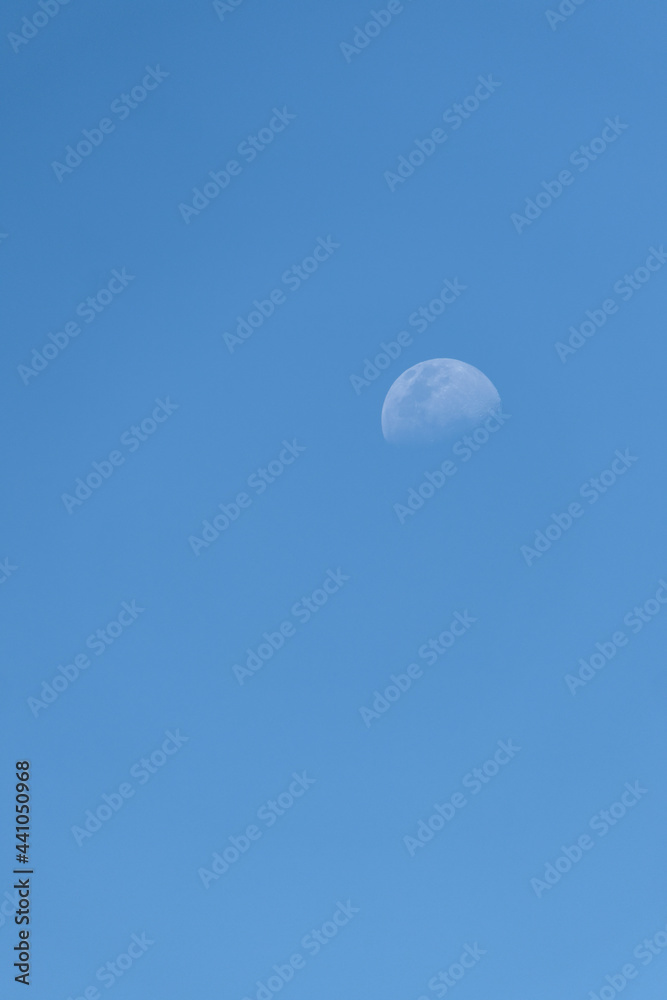Lune gibeuse en plein jour en Guyane française Lune gibeuse en plein jour en Guyane française
