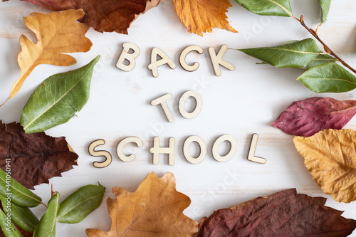 Back to school with autumn leaves on a white wooden background photo