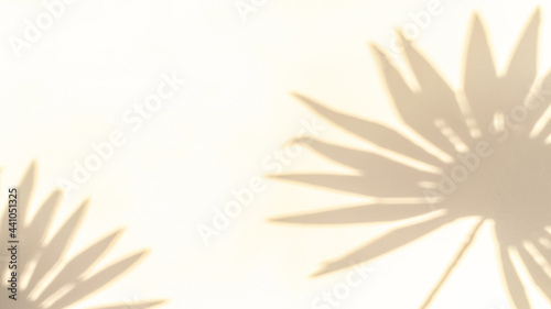 Wallpaper Mural Flowers shadow summer background. Plant leaf shadows on white wall in abstract tropical sunlight texture. Empty palm shadow yellow color texture pattern. Torontodigital.ca