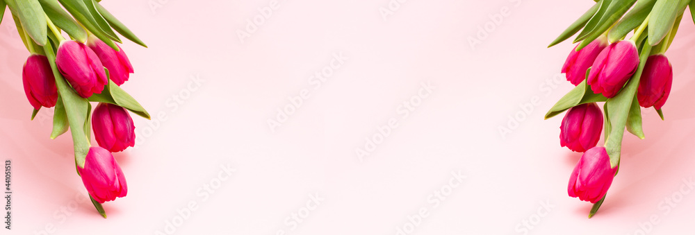 bouquet of bright fresh delicate pink tulips hanging on a pastel background with copy space, close-up. Minimalism for the spring holidays. Photo banner with copy space