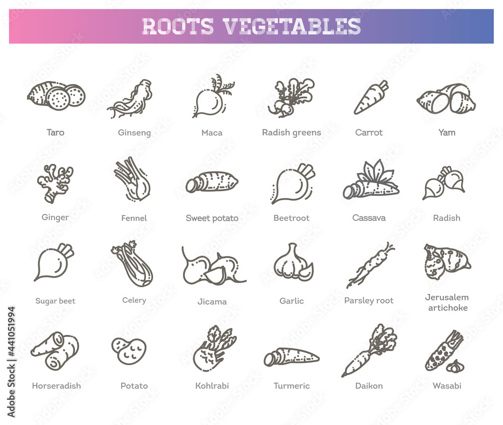 Vector collection with various kind of root vegetables Vector collection with various kind of root vegetables