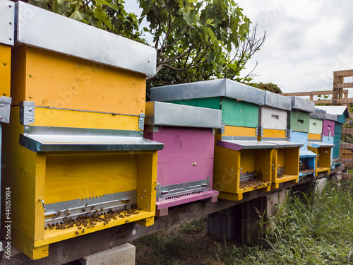 Close-up of colored hives in a countryside