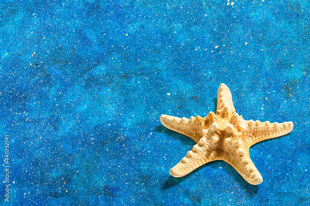 Single starfish on a blue nautical background Single starfish on a blue nautical background