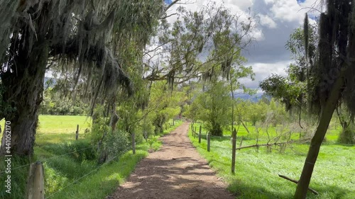 trees in the farm 