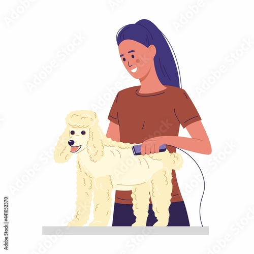 Grooming for pets, woman cuts poodle's dog fur on the table, vector illustration in flat style, cartoon.