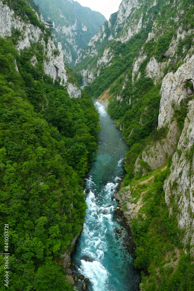 River rapids in the mountain forest in the summer River rapids in the mountain forest in the summer