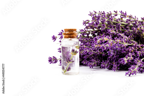 Glass bottle of Lavender essential oil with fresh lavender flowers on white background, aromatherapy spa massage concept. Lavender oil