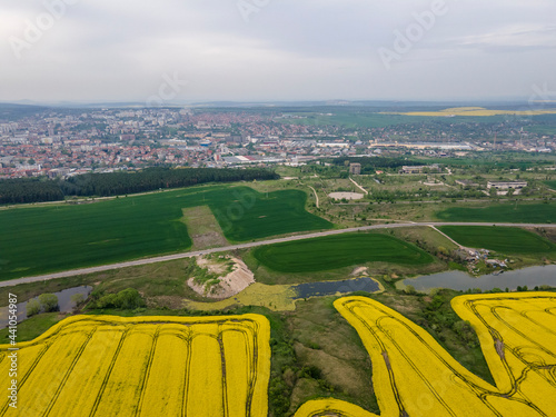 Aerial view of Blooming rapeseed field, Bulgaria photo