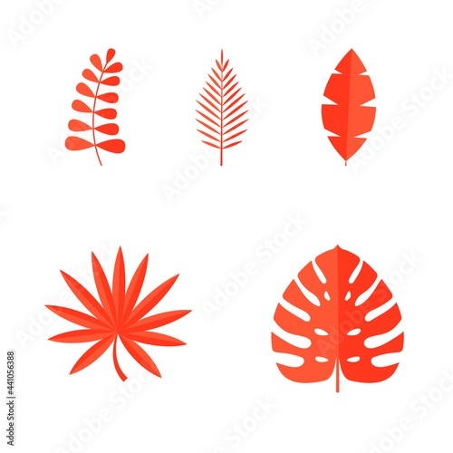 Set of Summer tropical leaves isolated on white background. Vector illustration