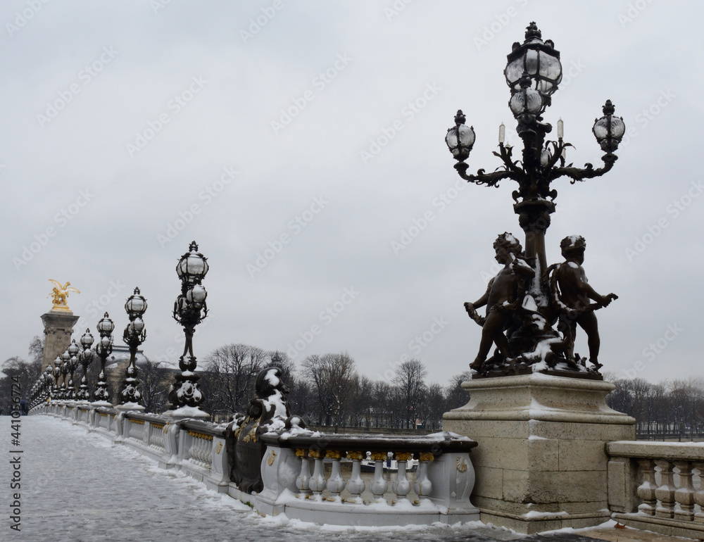 Fototapeta premium PONT ALEXANDRE III PARIS