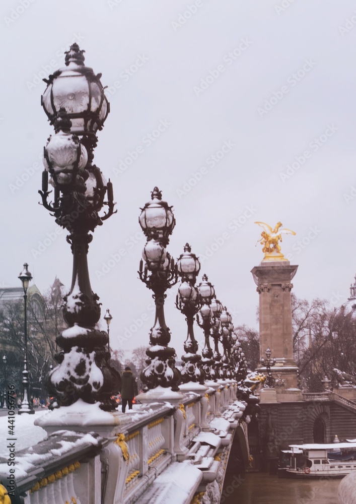 Fototapeta premium PONT ALEXANDRE III PARIS