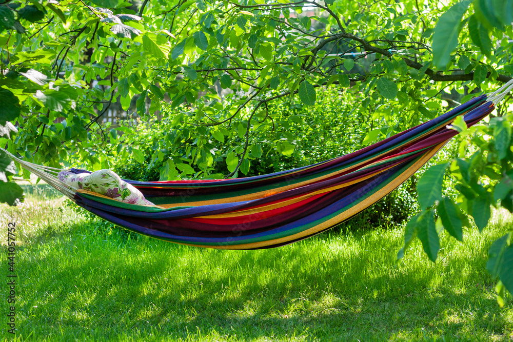 Rainbow hammock in the garden