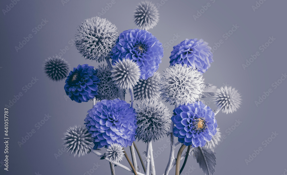 bouquet of garden flowers on a blue-gray background, spherical and round buds, white and blue colors.