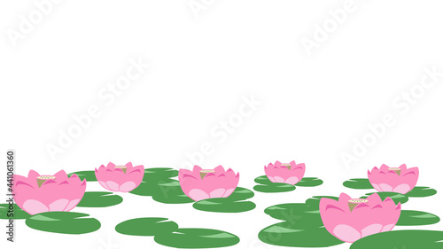 ハスの花　ピンク　フレーム