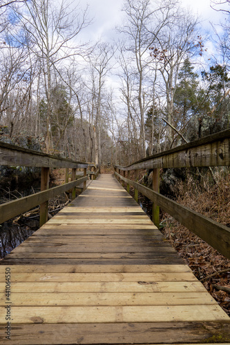wooden bridge in the forest © Anthony