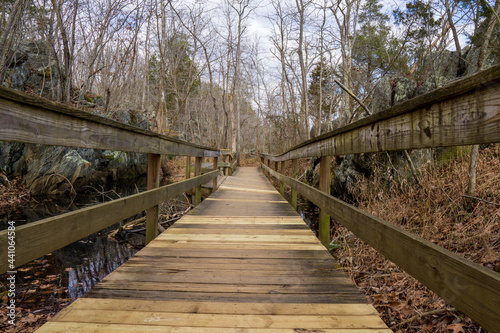 wooden bridge in the woods © Anthony