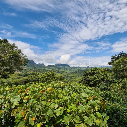 Panoramic and rural landscape with Cerro Tusa covered by fog. Venecia  Antioquia  Colombia.