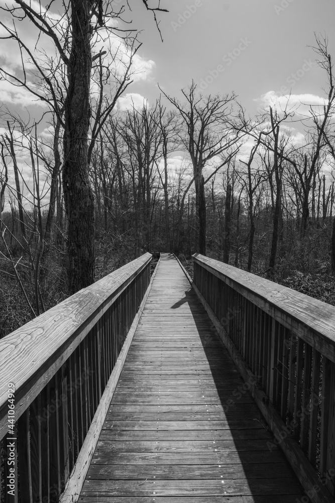 wooden bridge in winter