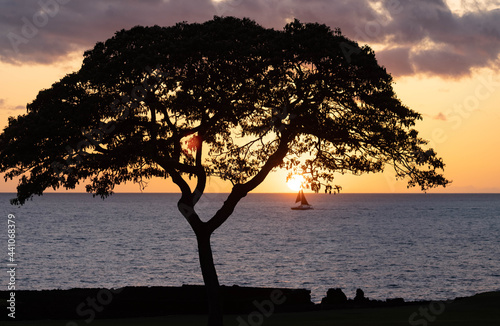 sunset on the beach