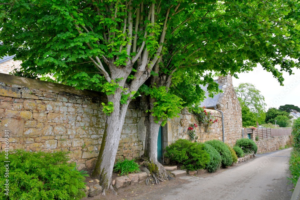 Little street with walls in stones on the Brehat island in Brittany France Little street with walls in stones on the Brehat island in Brittany France