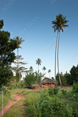 Palm trees and mud hut in Zanzibar, Tanzania