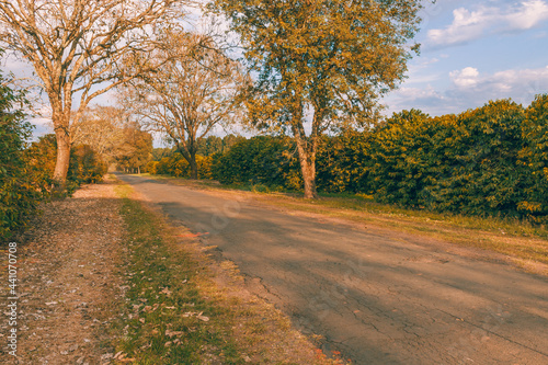 road in autumn