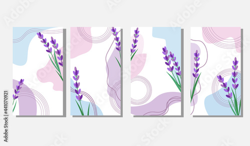 Set of backgrounds with lavender. Abstract template with spots and flowers. Vector illustration isolated on white background. For the use and design of social networks, cards and invitations, covers