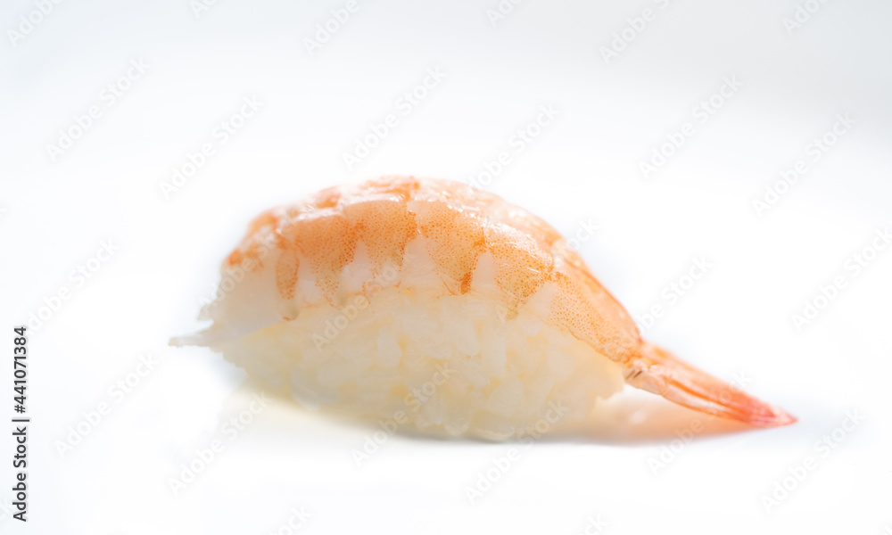 Ebi Nigiri.Ebi sushi, Japanese shrimp on Japanese rice.Japanese tradition food cuisine style with white isolated background.nigiri ebi sushi. Ebi Nigiri.Ebi sushi, Japanese shrimp on Japanese rice.Japanese tradition food cuisine style with white isolated background.nigiri ebi sushi.