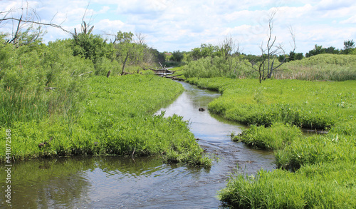 Brewster Creek at James "Pate" Philip State Park in Bartlett, Illinois