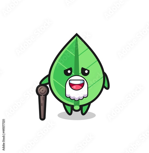 cute leaf grandpa is holding a stick
