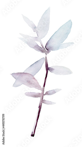 Watercolor twig, branch beautiful shape with blue, indigo young elegant leaves isolated on white background. Illustration for text, labels, books, covers, poster, website. Atmospheric picture.