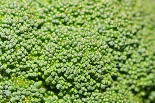 Broccoli cabbage background close up. Texture vegetable background. Healthy nutrition concept
