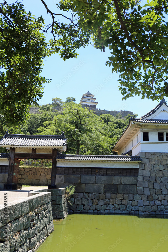 初夏の丸亀城