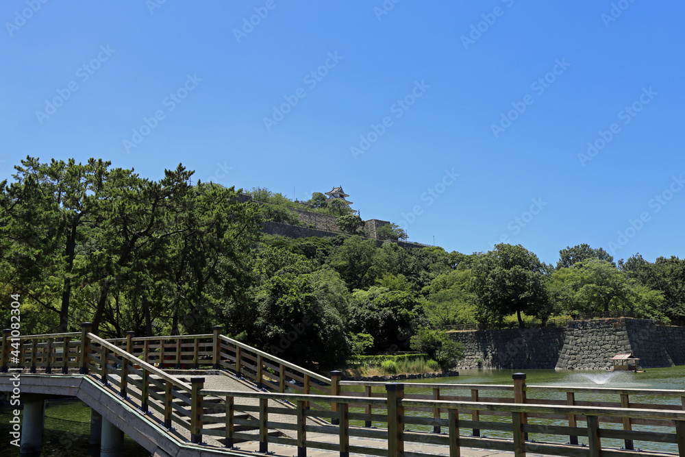 初夏の丸亀城