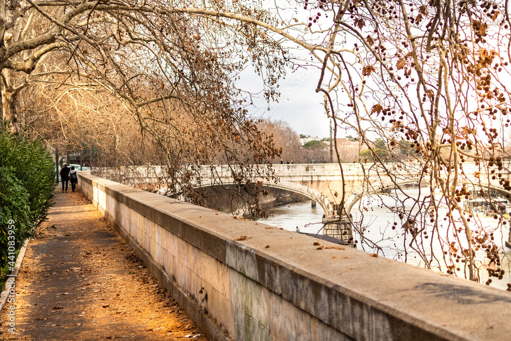 bridge in the park in Italy - Rome bridge in the park in Italy - Rome