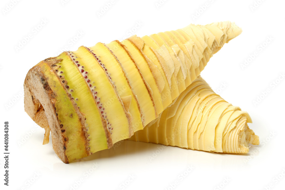 Bamboo shoot on the white background Bamboo shoot on the white background