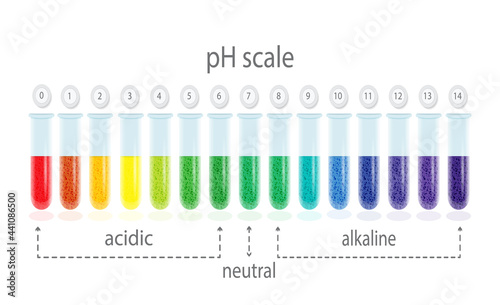 pH value scale chart for acid and alkaline solutions, acid-base balance infographic