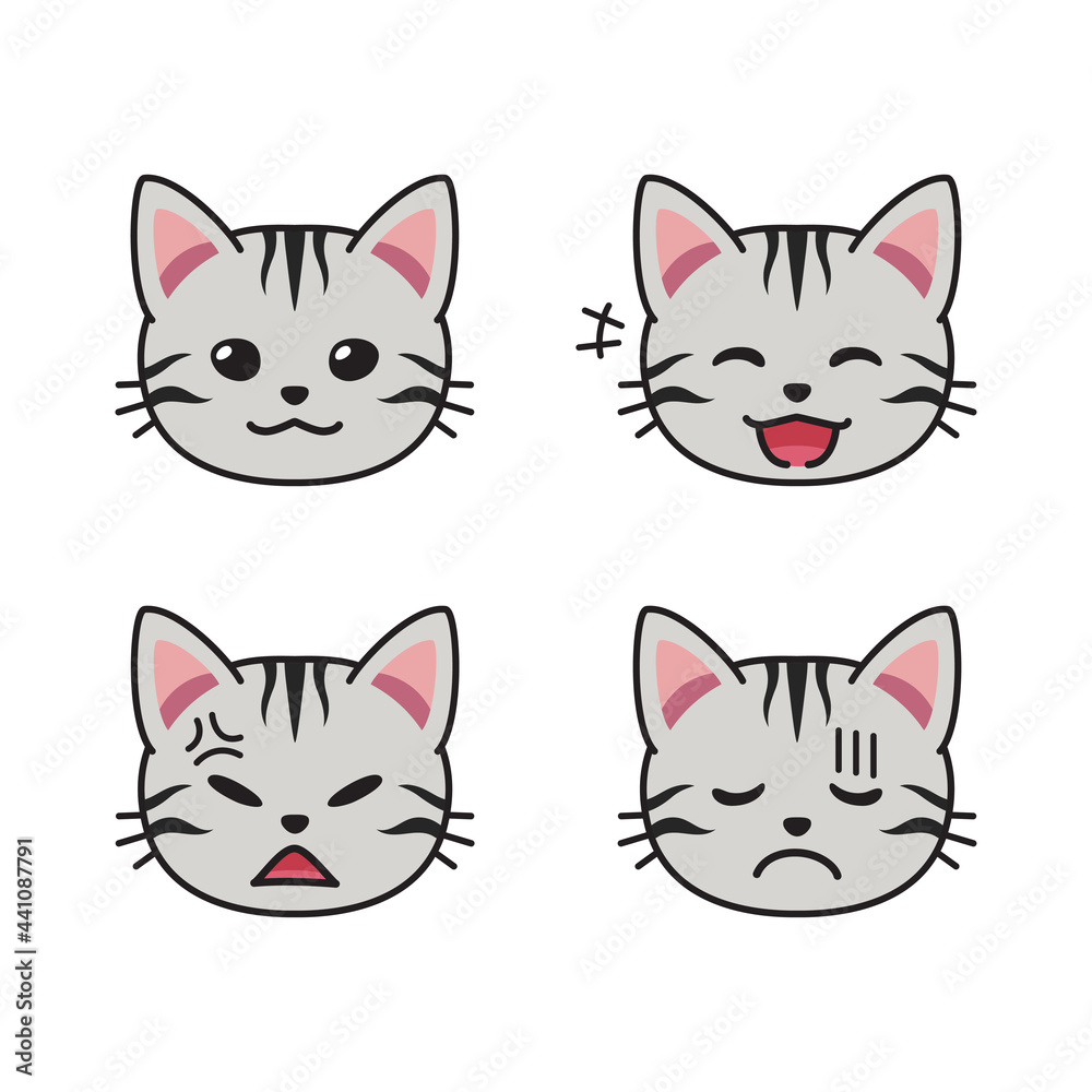 Set of American Shorthair cat faces showing different emotions for design. Set of American Shorthair cat faces showing different emotions for design.
